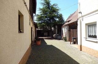 Haus kaufen in 76833 Siebeldingen, Großes Winzeranwesen mit idyllischem Innenhof in ruhiger sonniger Ortslage.
