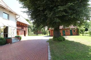 Einfamilienhaus kaufen in 31079 Sibbesse, Charmantes Einfamilienhaus mit Geschichte und Ausbaupotenzial