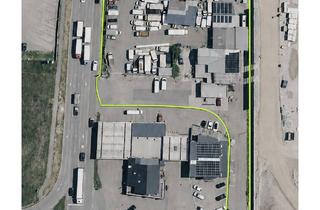 Gewerbeimmobilie kaufen in 76467 Bietigheim, SELTENE GELEGENHEIT: GEWERBEAREAL MIT KFZ-WERKSTATT, HALLEN, WOHN-/BÜROGEBÄUDE & POTENZIAL