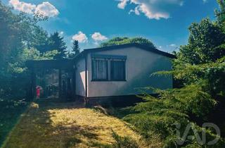 Grundstück zu kaufen in 06905 Bad Schmiedeberg, Grundstück zur Erholung auf dem Lande oder zum Bau eines idyllischen Traumhauses