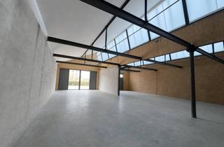 Geschäftslokal mieten in 07548 Gera, Räume für Ideen, Fläche für Wachstum – Ihr Unternehmen verdient beides: helle Gewerbehalle in Gera-Debschwitz!
