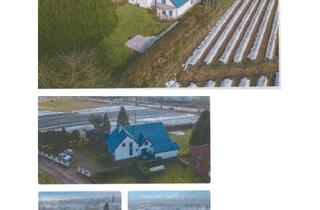 Einfamilienhaus kaufen in 46485 Wesel, Wesel - Wohnen mit Charakter: Großzügiges Einfamilienhaus in Wesel, als M