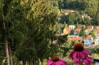 Wohnung kaufen in 69118 Heidelberg, Heidelberg - Wohnung mit Neckarblick
