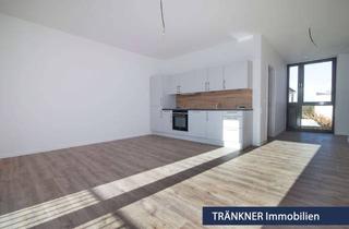 Wohnung mieten in 27570 Geestemünde, 3 ZKB im barrierearmen Neubau in Geestemünde