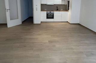 Wohnung mieten in 55294 Bodenheim, Vollständig renovierte 1-Zimmer-Souterrainwohnung mit Einbauküche in Bodenheim – Erstbezug