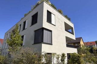 Wohnung mieten in 70839 Gerlingen, Exklusive 3,5 Zimmer Neubauwohnung (1. OG) in ruhiger Wohngegend von Gerlingen mit Einbauküche