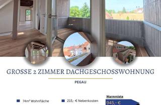 Wohnung mieten in 04523 Pegau, großzügige charmante 2 Zimmer Dachgeschosswohnung mit Balkon, Dachloggia und Klimaanlage