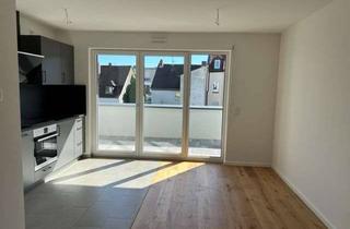 Penthouse mieten in 63741 Damm, mio: 2-Zimmer Penthouse-Wohnung mit EBK und Dachterrasse! DH C12