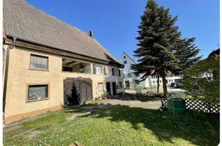 Mehrfamilienhaus kaufen in 78628 Rottweil, Mehrfamilienhaus mit Ausbaupotential