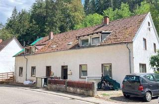 Haus kaufen in 67471 Elmstein, 2 Häuser - 1 Grundstück in Elmstein
