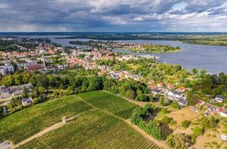 Einfamilienhaus kaufen in 14542 Werder (Havel), Einfamilienhaus mit Nebengelass in Werder (Havel) – sanierungsbedürftig, aber voller Möglichkeiten