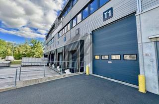 Büro zu mieten in 65451 Kelsterbach, KEINE PROVISION ✓ Lager (1.700 m²) mit Büro (680 m²) & Ausstellung (450 m²) zu vermieten