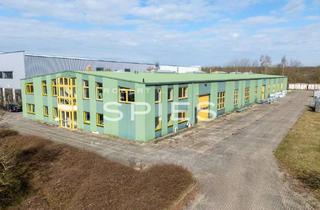Gewerbeimmobilie kaufen in 27356 Rotenburg, Produktionshalle mit Kranbahn und zusätzlichem Baugrundstück am Flugplatz Rotenburg