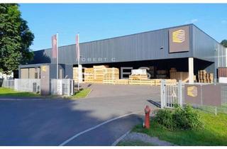 Gewerbeimmobilie mieten in 98553 Schleusingen, Lager- und Industriehalle in Schleusingen