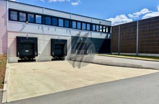 Büro zu mieten in 64546 Mörfelden-Walldorf, PROVISIONSFREI ✓ Lager-/Logistikflächen (1.550 m²) & Büroflächen (1.300 m²) zu vermieten