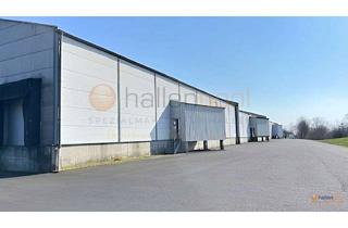 Gewerbeimmobilie mieten in 97795 Schondra, Vielseitiger Gewerbestandort mit 6.684 m² | 16 Rampen | großzügiges Grundstück *PROVISIONSFREI*