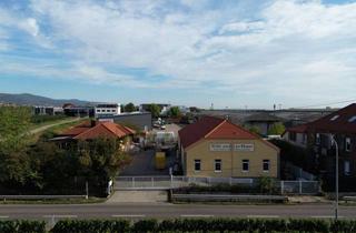 Gewerbeimmobilie kaufen in 67489 Kirrweiler, Gewerbeimmobilie mit Halle und Büro in Kirrweiler