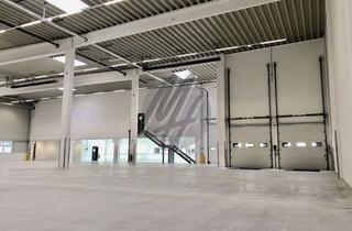 Büro zu mieten in 35510 Butzbach, NEUBAU ✓ Lagerflächen (550 m²) mit Büroflächen (100 m²) zu vermieten