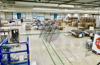 Büro zu mieten in 64579 Gernsheim, KEINE PROVISION ✓ Gewerbeobjekt mit Lager (3.900 m²) & Büro (450 m²) zu vermieten