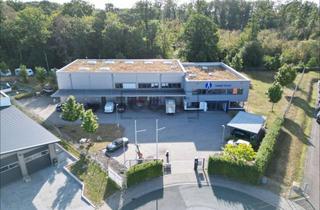 Büro zu mieten in 61381 Friedrichsdorf, Im Exklusivmandat: Neuwertige Gewerbeimmobilie mit Bürogebäude und Lagerhalle in Friedrichsdorf