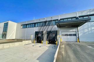 Büro zu mieten in 65451 Kelsterbach, PROVISIONSFREI ✓ Lager-/Logistikflächen (1.500 m²) & Büro-/Ausstellungsflächen (550 m²)