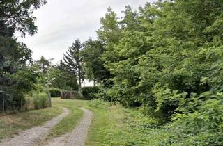Grundstück zu kaufen in 15344 Strausberg, PROVISIONSFREI | Wohnbaugrundstück in ruhiger Wohnsiedlung in Strausberg