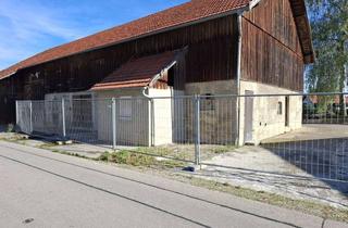 Grundstück zu kaufen in 86875 Waal, Sonniges Baugrundstück mit Altbestand