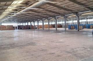 Gewerbeimmobilie mieten in Graf-Bentzel-Str. 11, 72108 Rottenburg, Logistik- Produktionshalle in Rottenburg am Neckar PROVISIONSFREI