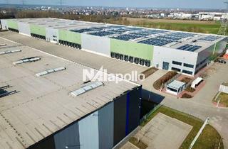 Gewerbeimmobilie mieten in 45659 Recklinghausen, 20 bis 40.000 m² Logistikflächen – sehr guter Zustand – Rampe I keine Provision