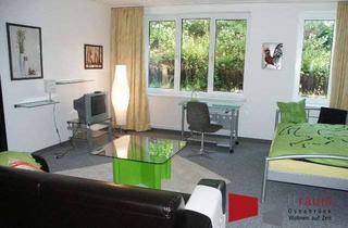 Immobilie mieten in 49082 Schölerberg, Schölerberg, großes, sehr helles Halbsouterrain Apartment mit Küche und Bad.