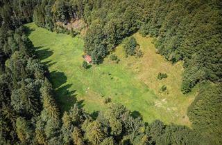 Gewerbeimmobilie kaufen in 83324 Ruhpolding, Ein Stück Chiemgau für Generationen – 2,9 Hektar Alm in Ruhpolding