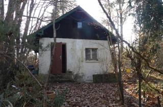 Immobilie kaufen in 91227 Leinburg, Seltene Alleinlage: Massiver Altbestand auf 1.740 m² in Leinburg-Gersdorf