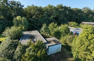 Haus kaufen in 38165 Lehre, Lehre - Grundstück in Waldrandlage mit Altbestand in Flechtorf