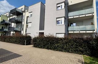 Wohnung mieten in 56410 Montabaur, Quartier-Süd - 2-Zimmerwohnung mit Balkon überdachtem PKW Stellplatz