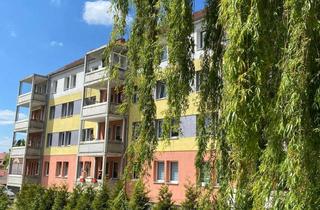 Wohnung mieten in Menteröder Str. 13, 99974 Mühlhausen, Helle Zweizimmerwohnung im 1. Obergeschoss in Mühlhausen