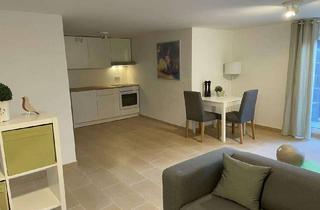 Wohnung mieten in 69207 Sandhausen, Neuwertige möblierte 2-Zimmerwohnung im Souterrain nahe SAP/Heidelberg