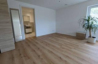 Wohnung mieten in 88487 Mietingen, Helle 1-Zimmer-Wohnung teilmöbliert mit Einbauküche in Mietingen