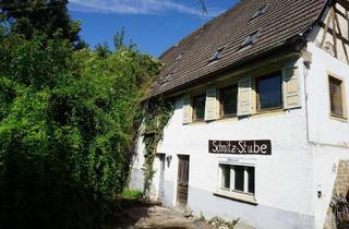 Bauernhaus kaufen in 72401 Haigerloch, Bauernhaus mit großem Grundstück und vielseitigen Nutzungsmöglichkeiten in Bad Imnau