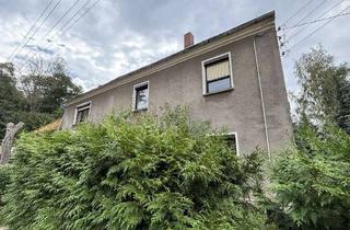 Haus kaufen in 01665 Diera-Zehren, Weitläufiges Naturgrundstück mit EFH, Anbau & eigenem Weinberg!