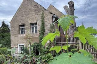 Haus kaufen in 01665 Diera-Zehren, Weitläufiges Naturgrundstück mit EFH, Anbau & eigenem Weinberg!