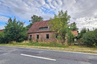 Haus kaufen in 15324 Letschin, Großes Sanierungsobjekt mit über 190m² Wohnfläche auf weitläufigem Grundstück im Oderbruch!