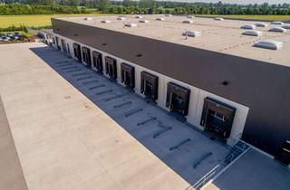 Büro zu mieten in Appendorfer Weg, 39171 Sülzetal, Ca. 1.500 m² beheizbare Hallenfläche mit Rampen & Büro – Osterweddingen