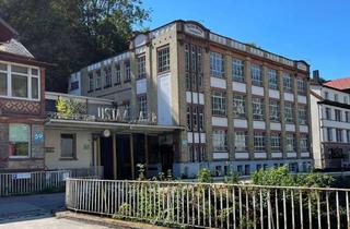 Gewerbeimmobilie kaufen in Schiltachstraße 59-61, 78713 Schramberg, Denkmalgeschütztes Sanierungsobjekt alte Papierfabrik