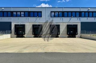 Büro zu mieten in 64546 Mörfelden-Walldorf, KEINE PROVISION ✓ SCHNELL VERFÜGBAR ✓ Lager (3.200 m²) & Büro (800 m²)