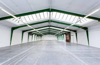 Gewerbeimmobilie mieten in Bahnhofstraße 23, 78713 Schramberg, Gepflegte Produktionshalle in Schramberg