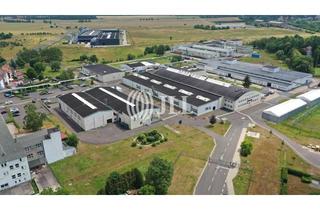Gewerbeimmobilie mieten in 99880 Waltershausen, Hallen im Industriepark - verschiedene Medienanschlüsse verfügbar - zur Miete - auch Teilflächen *pr