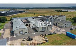 Gewerbeimmobilie mieten in 99880 Waltershausen, Halle für Produktion & Lager I mehrere Tore I bekrant I Miete *Provisionsfrei*