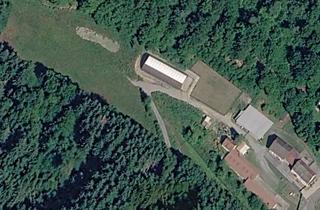 Grundstück zu kaufen in 97769 Bad Brückenau, Ein außergewöhnlicher Ort. 13.000 m² Raum für große Ideen.