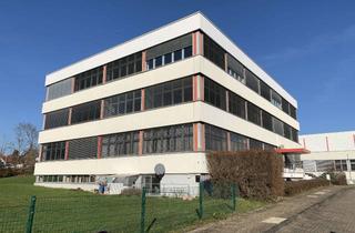 Büro zu mieten in Benzstraße, 65779 Kelkheim, Hier finden Sie Ihr neues Großraum Büro - Jetzt besichtigen!