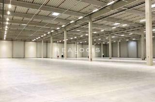 Büro zu mieten in 85737 Ismaning, Ismaning, großzügige Gewerbefläche mit ca. 5.900 m² Hallen-, Lager- und Büroflächen zu vermieten